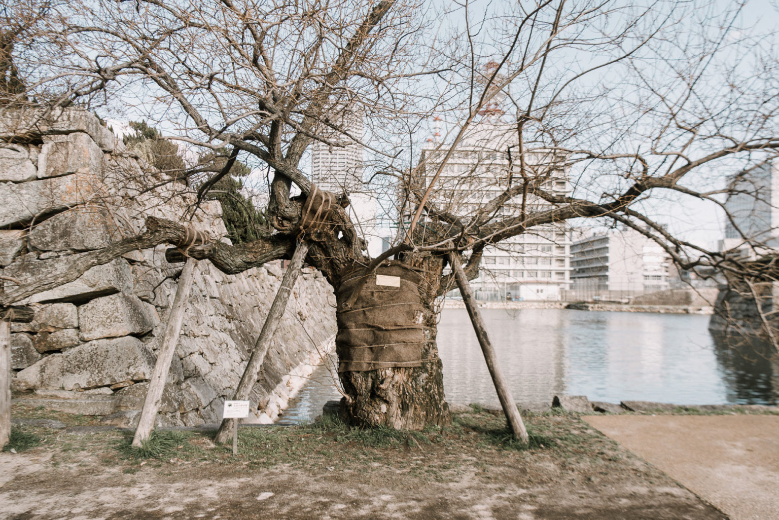 Hiroshima - Tokidoki